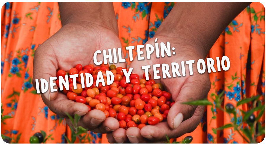 El chiltepín no solo se come… se siente