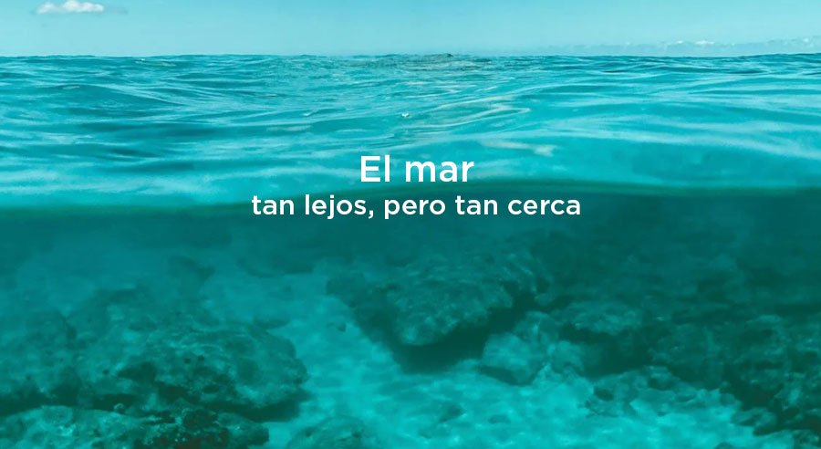 Una ciudadana que piensa en el mar