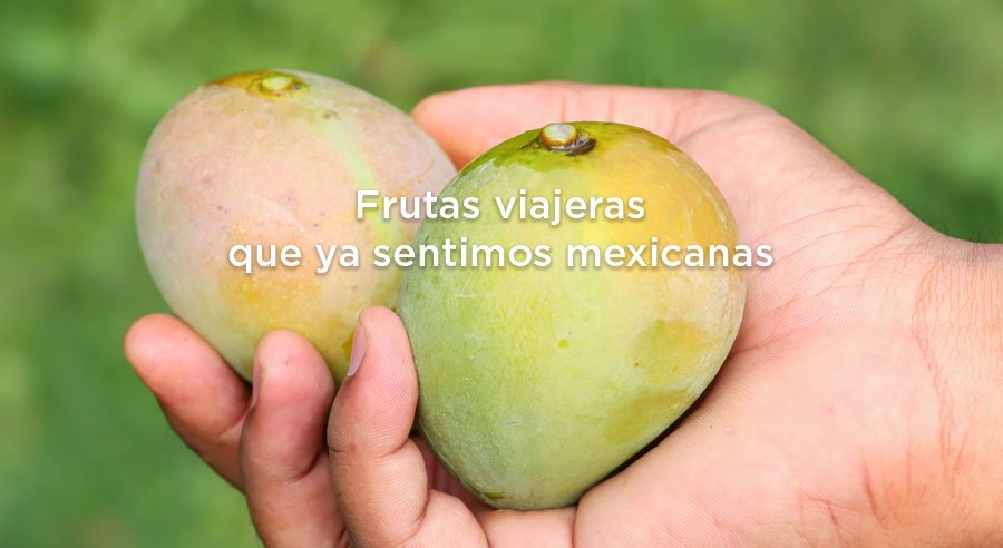 Las frutas viajeras que ya sentimos mexicanas