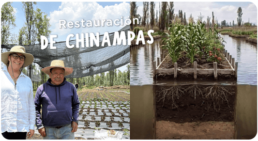 Una ensalada que restaura ecosistemas