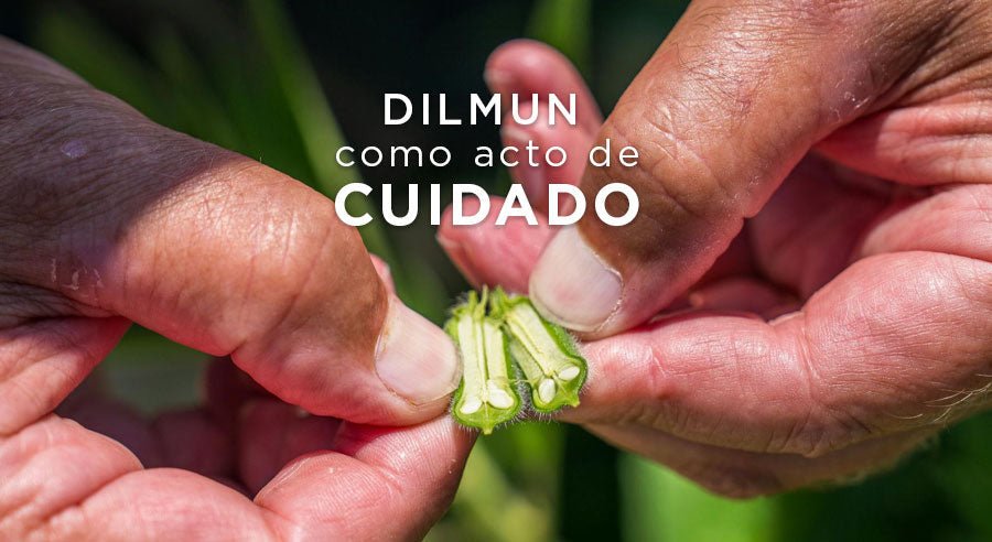 DILMUN como acto de cuidado