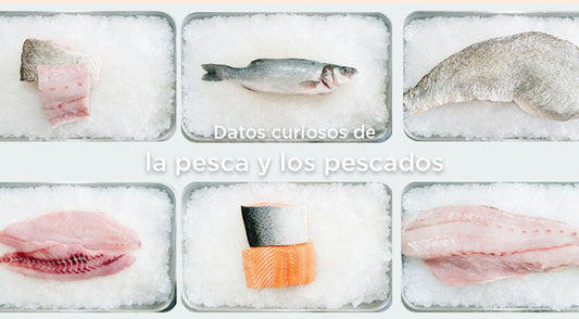 10 datos interesantes del pescado