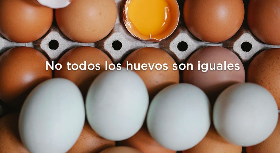 Diferencia entre huevo orgánico,  libre de jaula, de libre pastoreo y 100% pastoreo