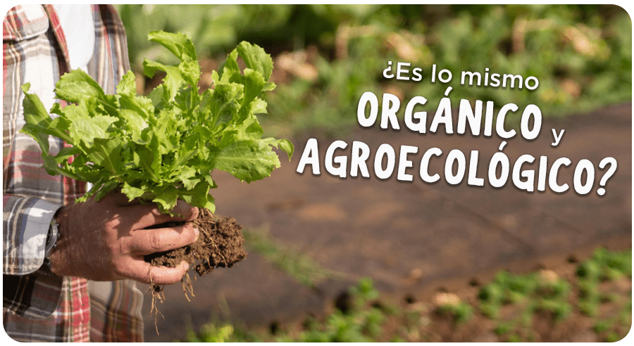 ¿Cuál es la diferencia entre orgánico y agroecológico?