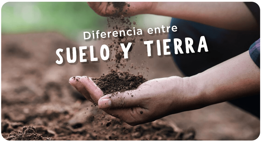 ¿Cuál es la diferencia entre SUELO y TIERRA?