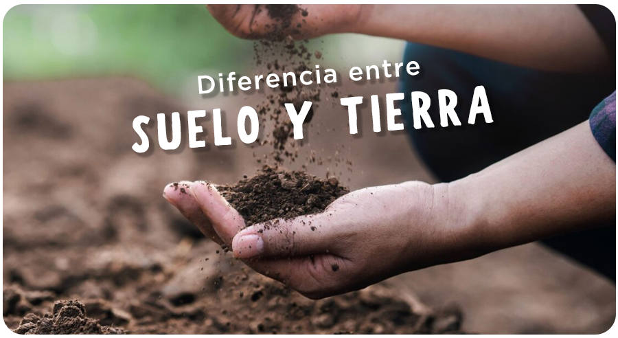 ¿Cuál es la diferencia entre SUELO y TIERRA?