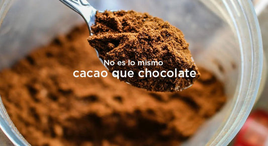 Cacao y chocolate no son lo mismo
