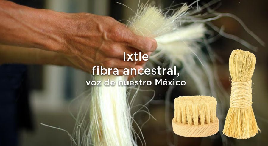 Ixtle: fibra natural reflejo de saberes ancestrales