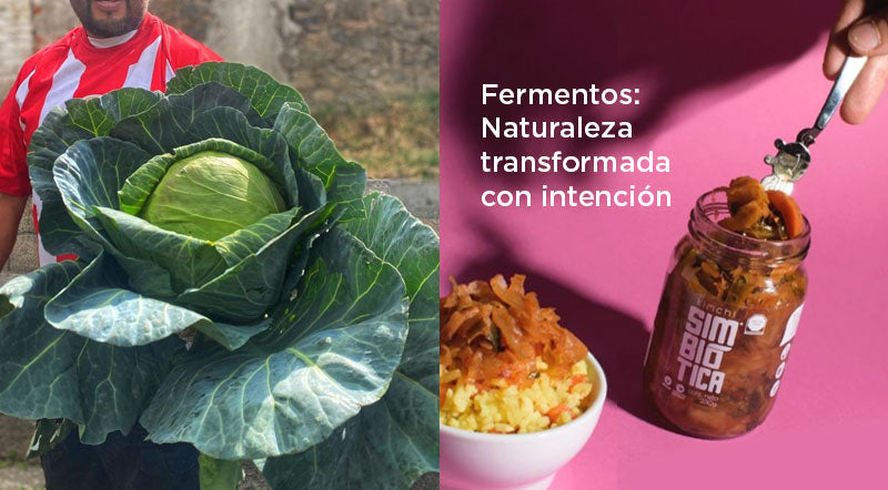 Fermentos: Naturaleza transformada con intención