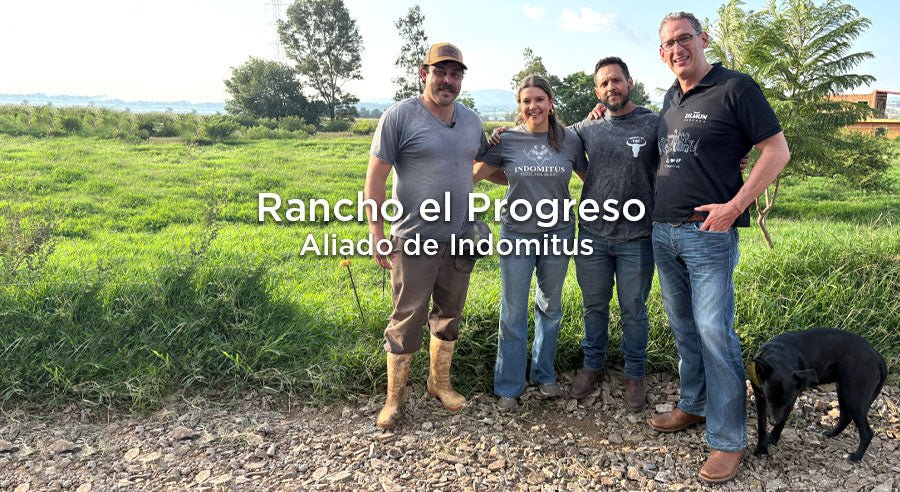 La historia de Fernando al cambiar de ganadería convencional a regenerativa