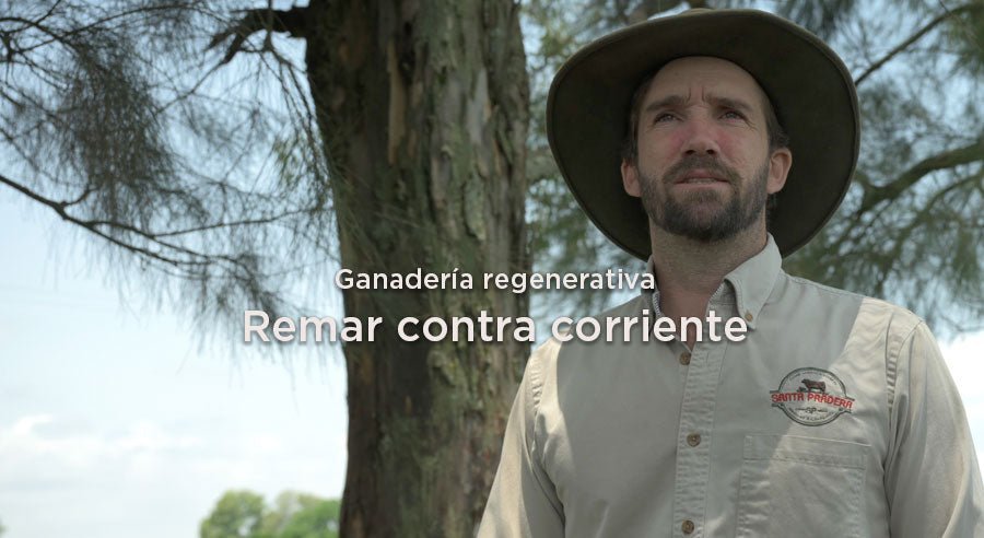 Remar contracorriente: ganadería regenerativa