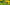 ¿Por qué las abejas son importantes para la vida?