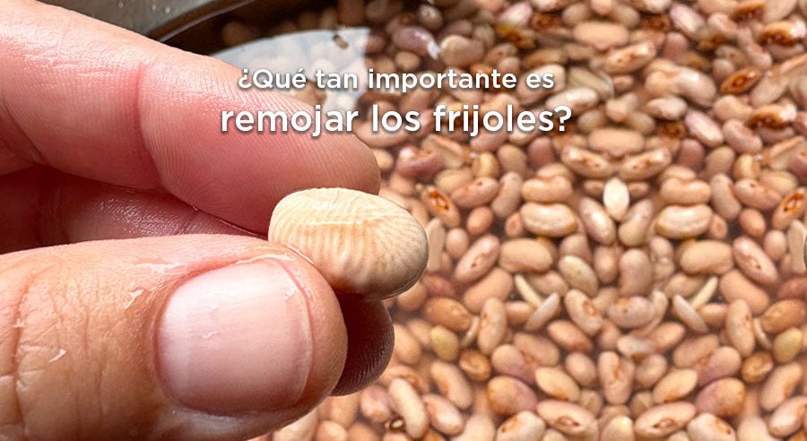 ¿Siempre hay que remojar los frijoles?