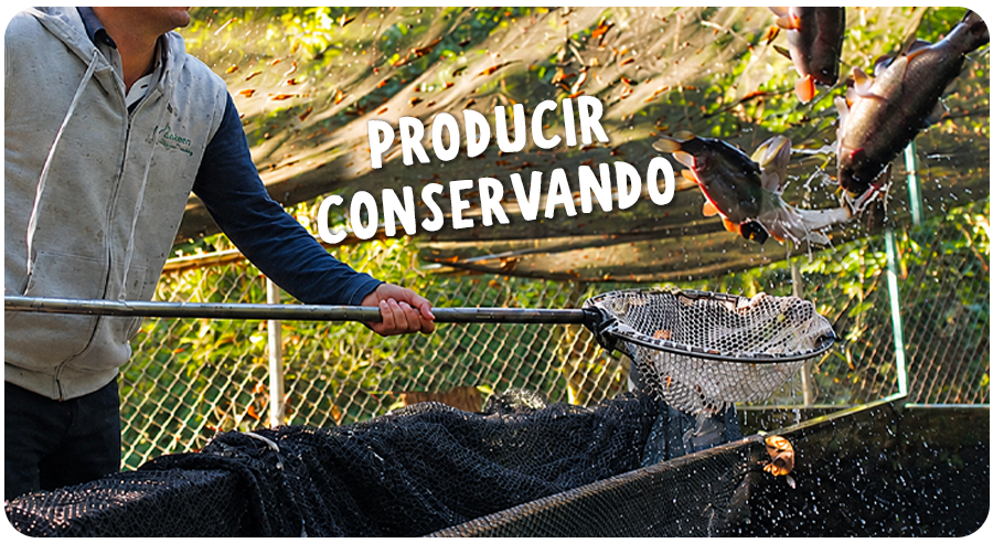 ¿Y si las reglas de la economía pudieran cambiarse?