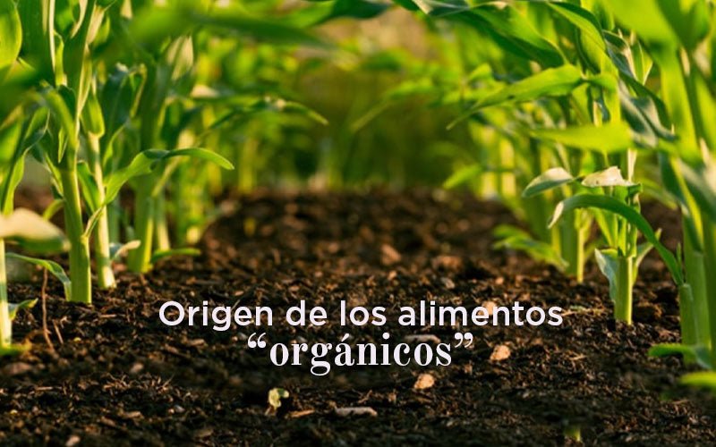 ¿Quién inventó  o cómo empezó la idea de comer "orgánico"?