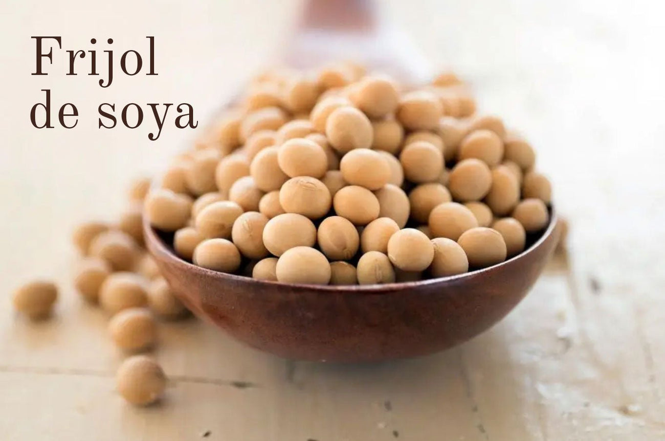 Los frijoles de soya ¿son buena proteína?