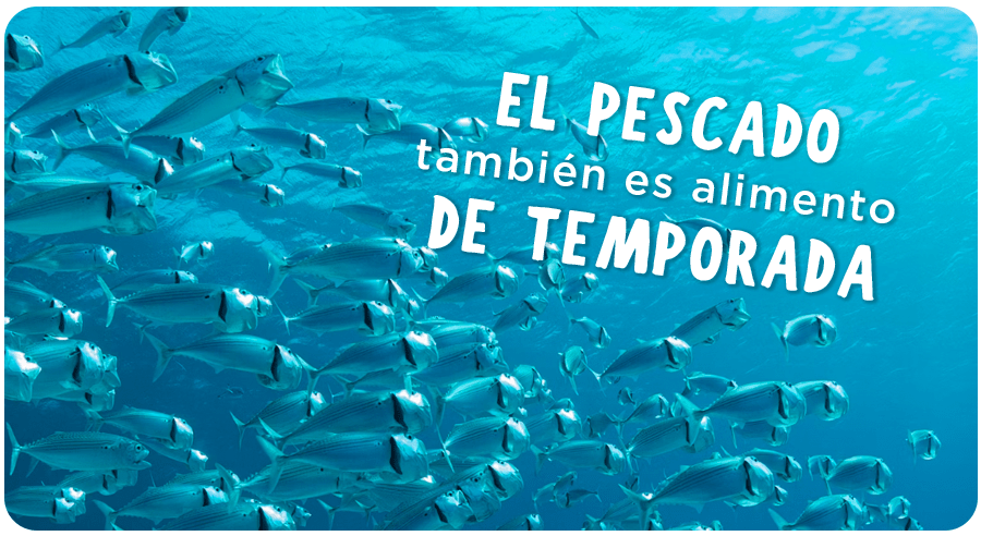 Los pescados también tienen temporada: comer con el ritmo del mar