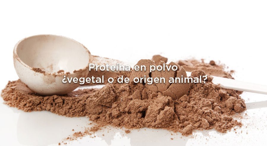 ¿Qué proteína en polvo es mejor: vegetal o de origen animal?