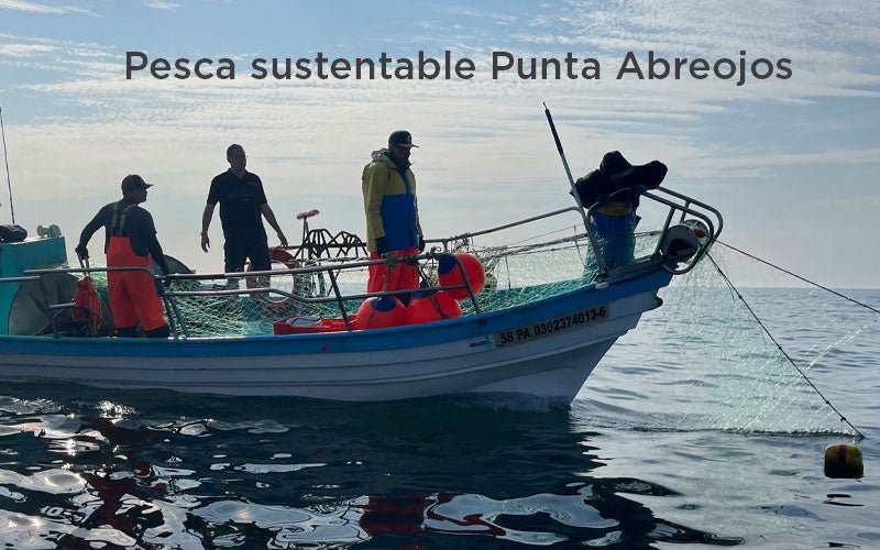 Proyecto de pesca sostenible: Punta Abreojos
