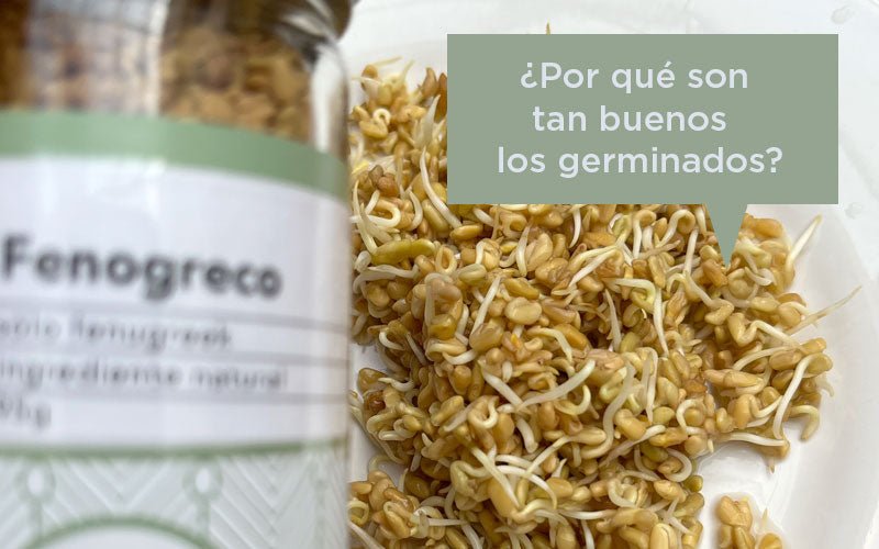 ¿Qué son y cómo hacer los germinados?