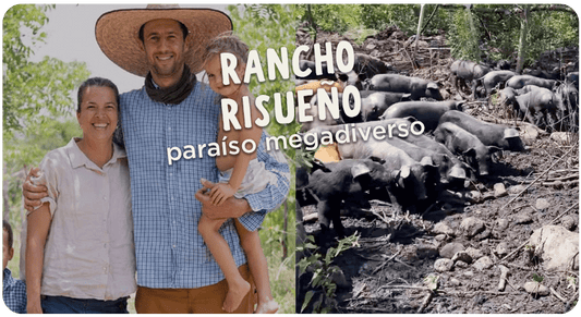 Rancho Risueño: El significado de "megadiverso"? 🌿