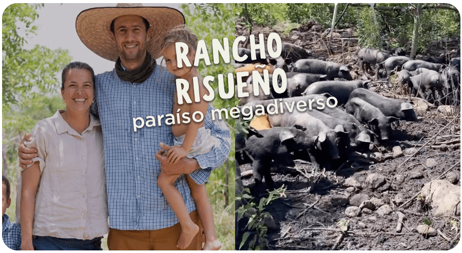 Rancho Risueño: El significado de "megadiverso"? 🌿