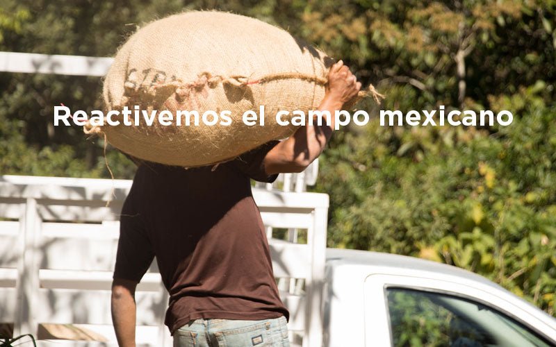 ¿Cómo reactivar el campo mexicano?