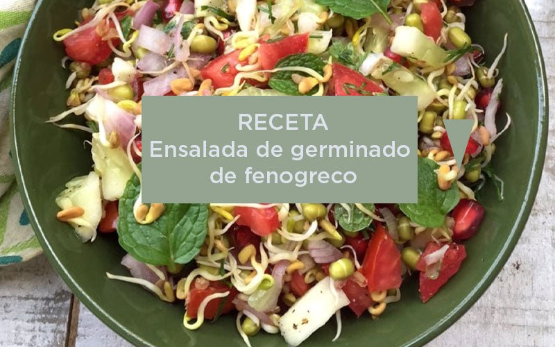 Receta ensalada con germinado de fenogreco