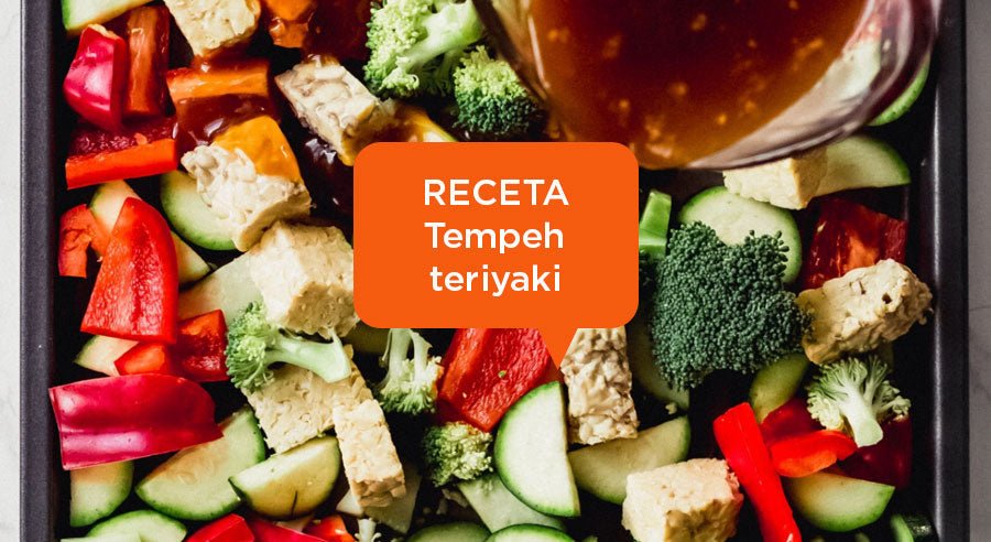 Receta tempeh teriyaki