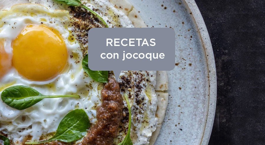 Recetas con jocoque