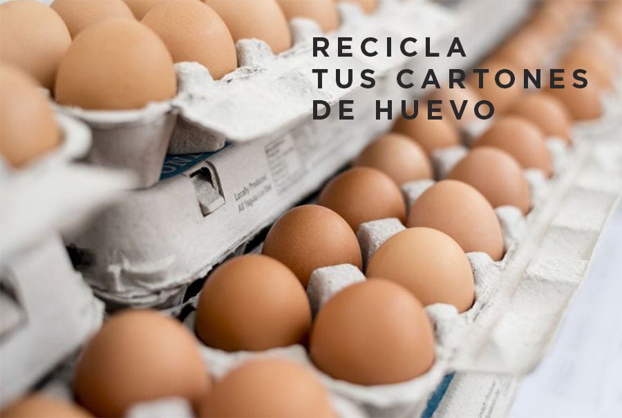 ¿Los cartones de huevo se pueden reciclar?