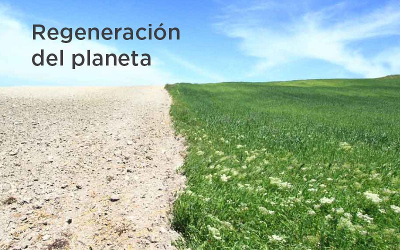 ¿Qué es la regeneración del planeta?