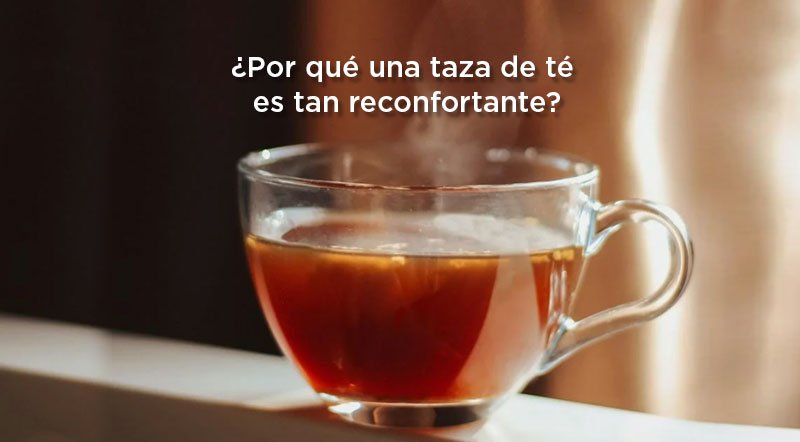 ¿Por qué el té es tan reconfortante?