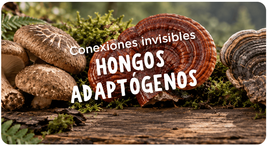 Shiitake, reishi y hongo del artista: conexiones invisibles que nos cuidan