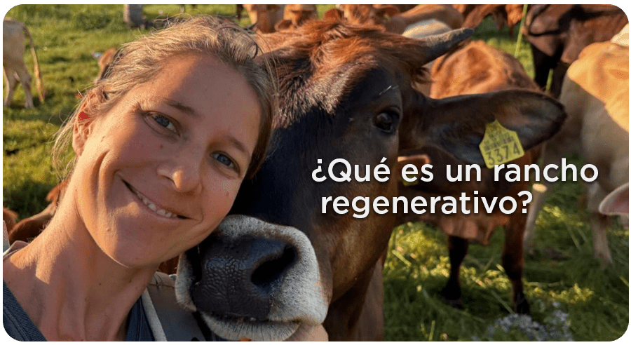 ¿Qué es una granja o rancho regenerativo según Vikinga Tropical?