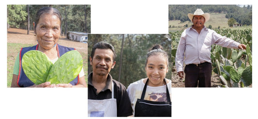 Productos de la tierra