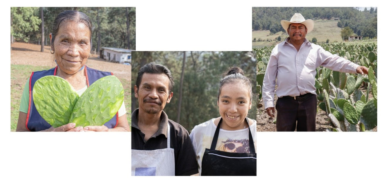 Productos de la tierra