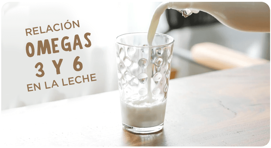 ¿La grasa de la leche puede ser tu medicina o todo lo contrario?