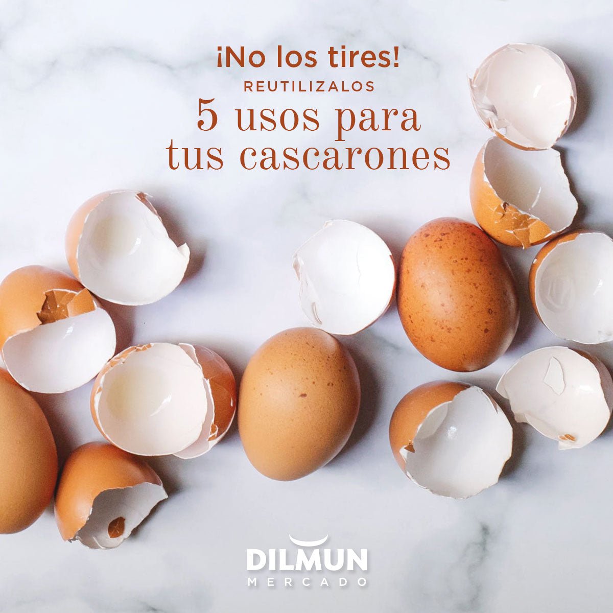 Reusa cascarones de huevo en tu casa