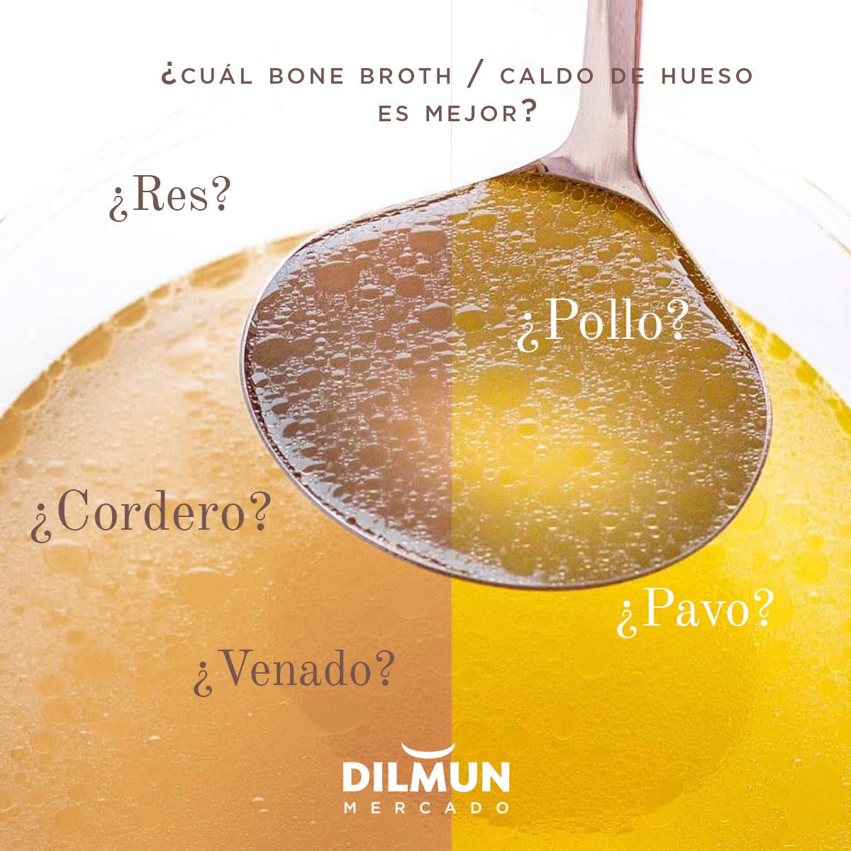 ¿Cuál caldo de hueso / bone broth es mejor?