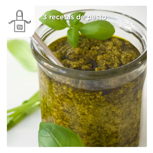 Receta Pesto (3 diferentes)