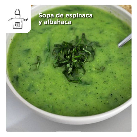 Sopa de espinaca y albahaca
