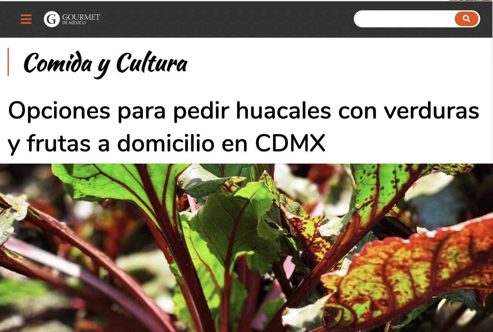GourmetDeMexico.com.mx