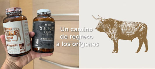 6 razones para cambiar tus multivitaminas por cápsulas de hígado de res