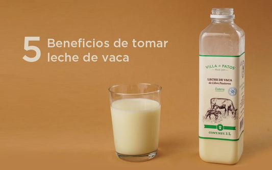 5 razones por las que adultos deben tomar leche de vaca