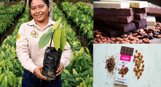 Chocolate Mexicano productores CACEP
