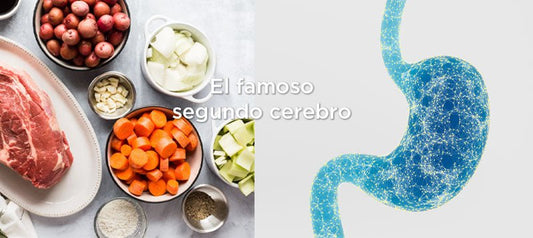 ¿La microbiota es el segundo cerebro? 7 tips para mejorarla
