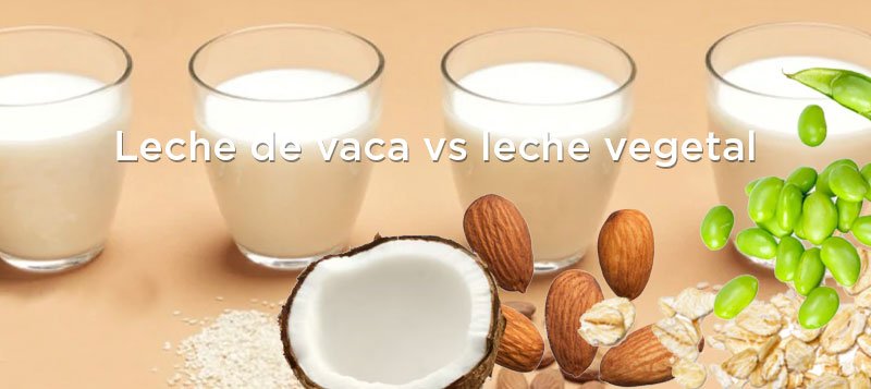 Diferencias entre la leche de vaca y la leche o bebida vegetal