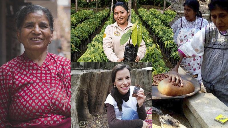 Productos naturales hechos por mujeres locales en México 🟣