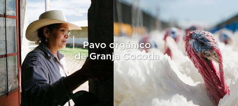 ¿Donde crían pavo orgánico en México?